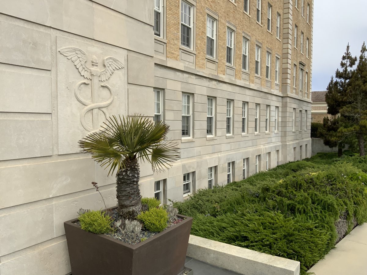 Limestone Restoration Sullivan Thompson